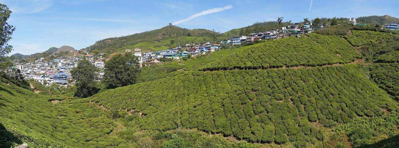 South India — Kerala · Coorg · Ooty