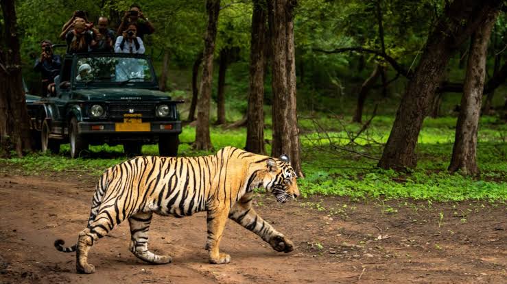 jim corbett tour package — Uttarakhand