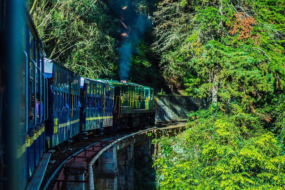 Coorg & Ooty tour package — South India