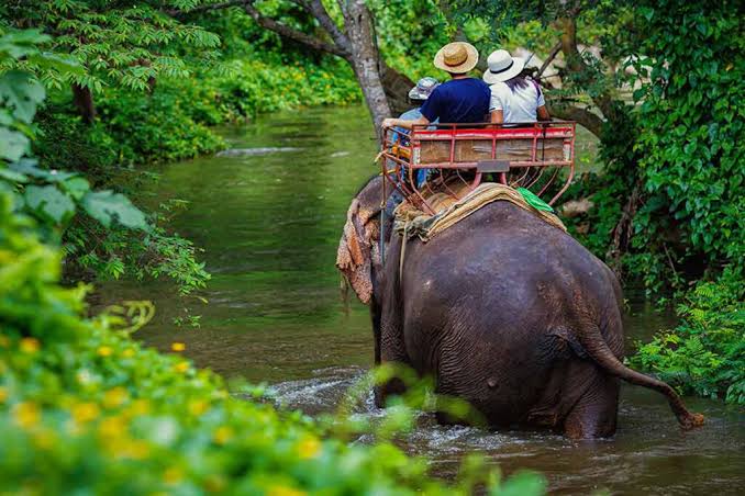 Kerala tour package — South India