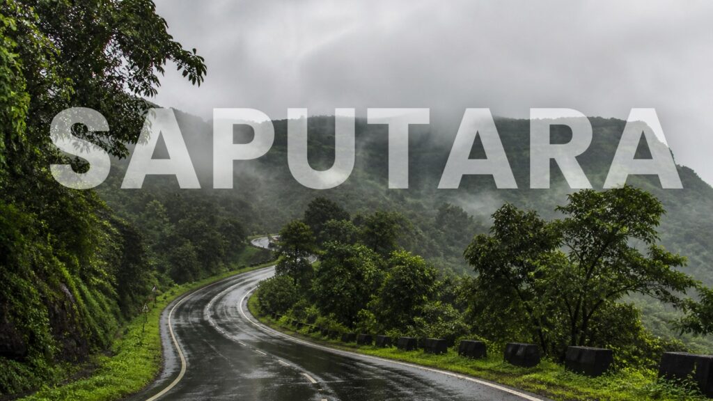 Saputara tour package